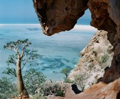 Paolo Woods // Socotra Paolo Woods, Socotra, Yemen, Indian Ocean, landform, island
