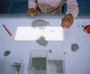 David Chancellor // Diamonds 2010, Diamond Mining, Botswana, De Beers, factory, labor, labour, mine, jewel, diamonds