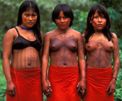 Gerd Ludwig // Brazilian Indians gerd ludwig, brazilian indians, amazon, rain forest, rainforest, waiapi, wapixana