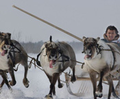 Gerd Ludwig // Siberian Oil Indigenous Peril gerd ludwig, siberian oil, indigenous peril, aboriginal, khanty mansiysk, culture, preservation