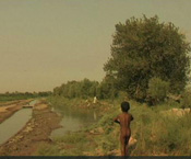 James Longley // Sari's Mother james longley, motion, iraq, aids, hospital, HIV, 2004