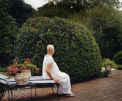 Jocelyn Lee // Last Light 2008, jocelyn lee, mother, mom, death, dying, cancer, lung cancer, flower, portrait, flowers, wildflowers, memory, memories, remember