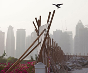 Lauren Greenfield // Goodbye Dubai Dubai desert emirate Persian Gulf luxury growth