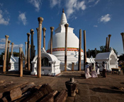 Matthew Niederhauser // Sri Lanka matthew niederhauser, sri lanka, tourist, festival, buddhist temple, sri lanka, buddhism