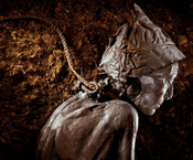 robert clark, bog bodies, iron age, northern europe, Tollund Man, Yde Girl, Clonycavan Man.