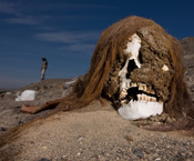 robert clark, nasca, civilization, culture, ancient, civilization