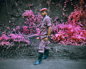 Richard Mosse // Infra richard mosse, infra, eastern congo, kodak aerochrome, conflict, aerial surveillance, heart of darkness, tin tin, soldier