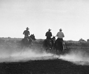 Zed Nelson // Oklahoma Drought zed nelson, oklahoma drought, desert, depression, texas, kansas, dust bowl, poverty, cowboy